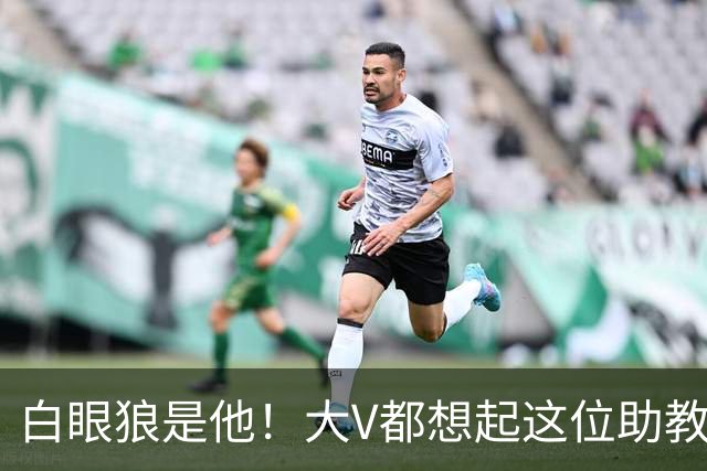 白眼狼是他！大V都想起这位助教 把鲁能告上法庭